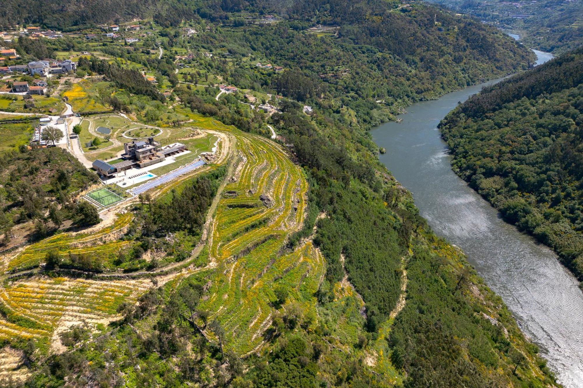 Quinta De Cabanas Douro Country House Penha Longa Экстерьер фото